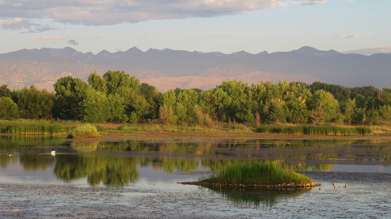 A lake with trees and mountains in the background