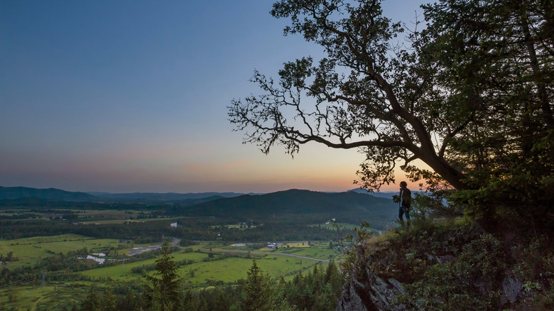 Hiker enjoying the view from a cliff in Springfield, Oregon