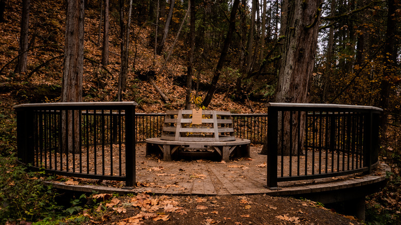 A bench in Mount Pisgah Park, Oregon