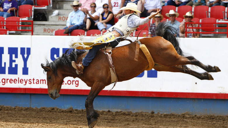 Bronco bucks his buster at Greeley Stampede