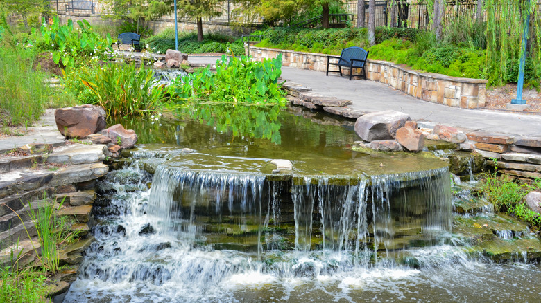 A water feature with a paved trail next to it in The Woodlands, Texas