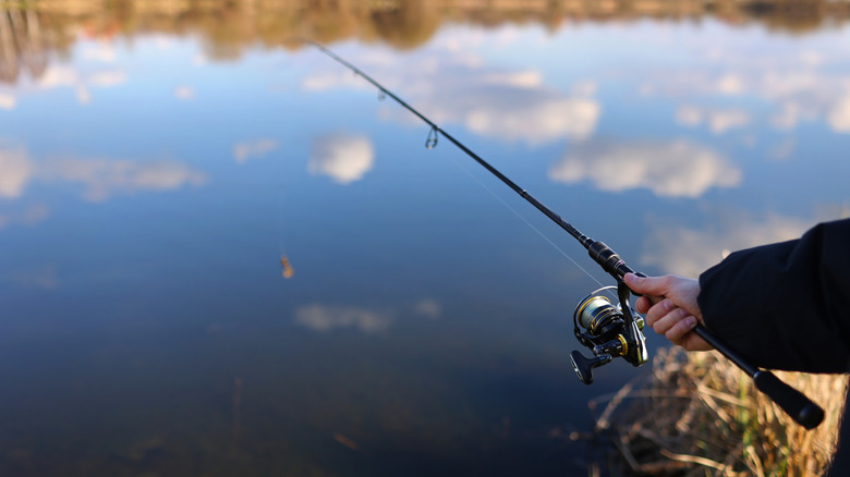 hand holding fishing rod over lake