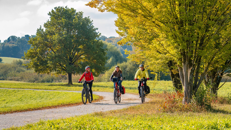 Three adults cycling in park