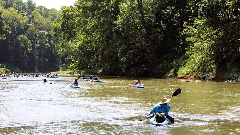 Kayakers paddle down the Red River in Clarksville, TN.