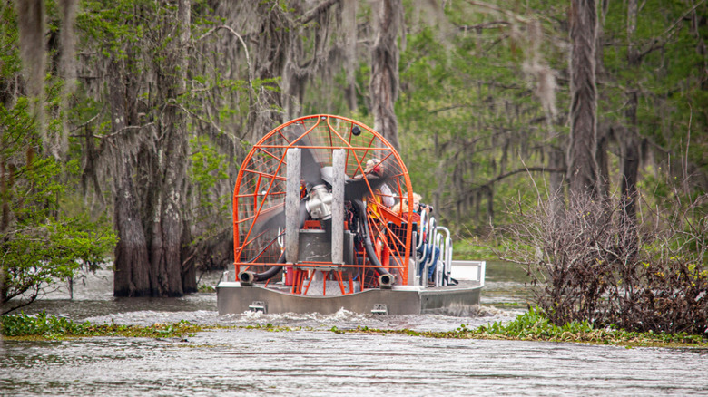 Airboat going through the bayou in Louisiana