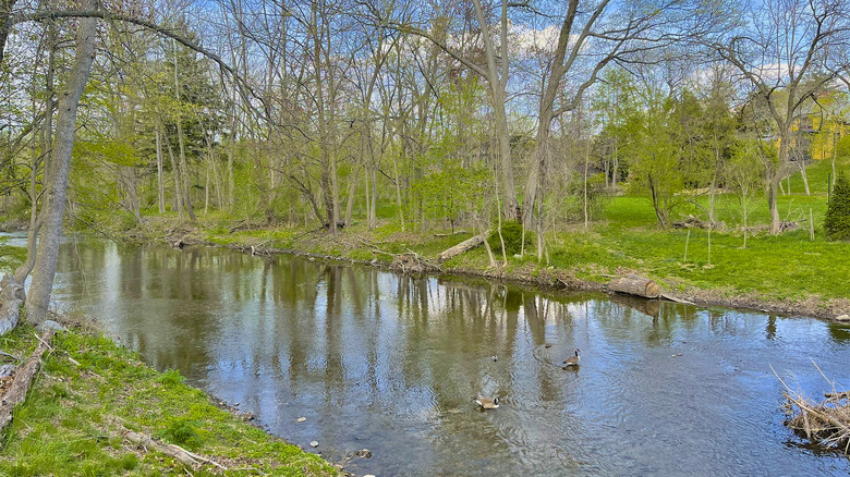 A pond in Saddle River County Park