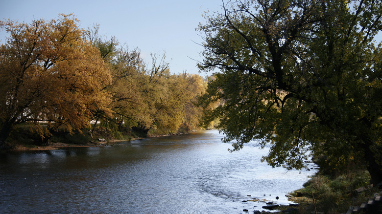 Wooded riverbanks of Turkey River in Elkader