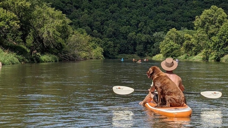 A man kayaking in Turkey River in Elkader