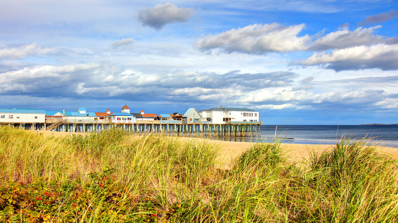 Green beach grass in front of pier on Old Orchard Beach