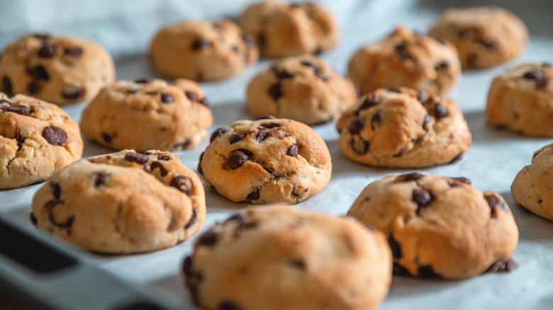 Cookies on a baking tray