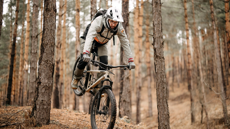 Person riding through the forest on a mountain bike