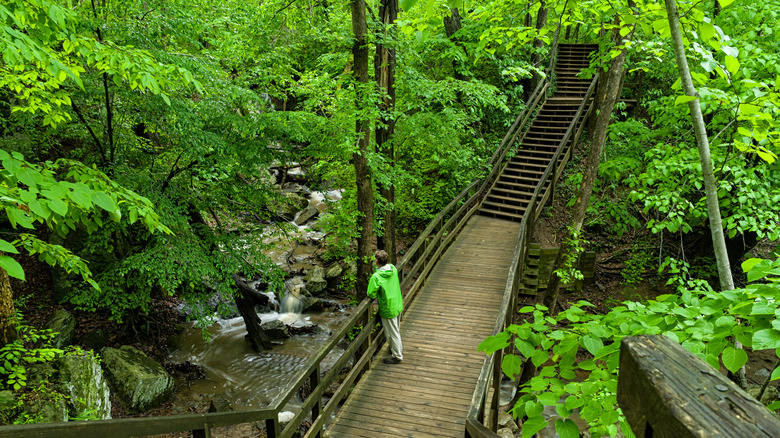Man walking on a bridge over a creek in Great Falls, McLean, Virginia