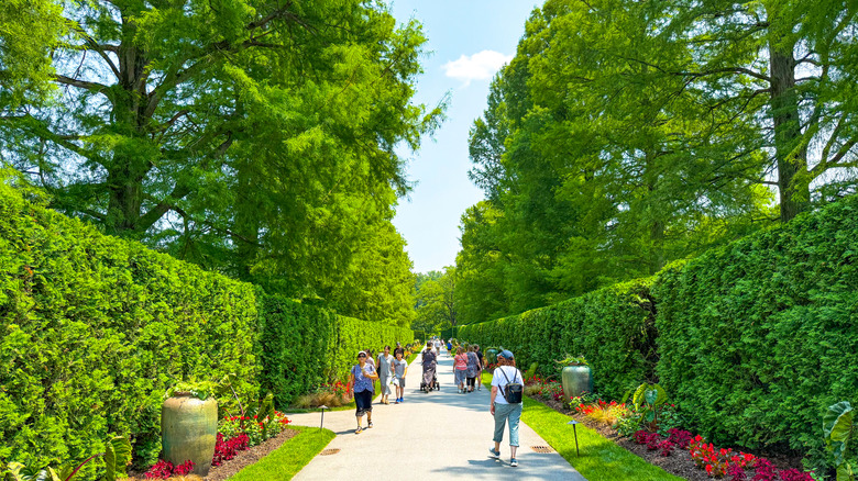 Visitors walking down a landscaped path at Longwood Gardens.
