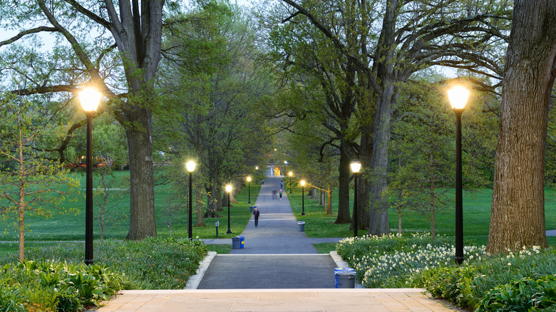 People walking along tree lined path in, Swarthmore, Pennsylvania