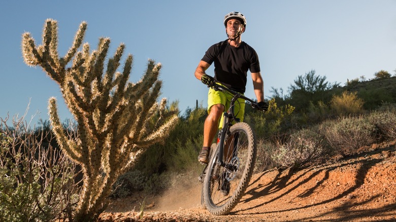 A mountain biker wearing a helmet and gloves on a desert trail