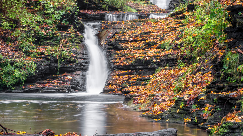 A small waterfall falls into a creek with fall foliage scattered on the surrounding rock
