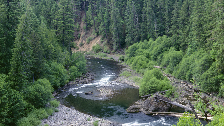 The Clackamas River winding through rocks and rapids