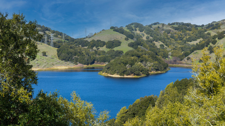 Briones Reservoir in Briones Regional Park