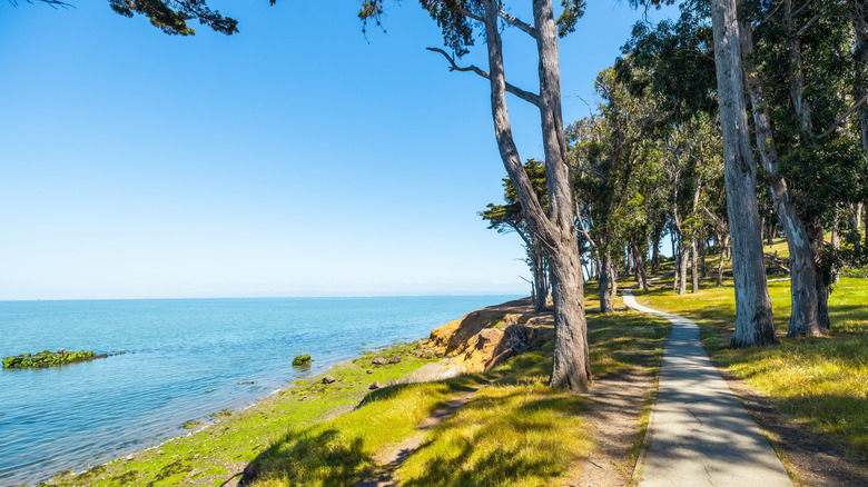 Coyote Point next to bay