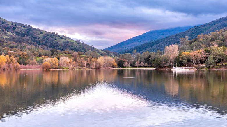 Wintertime foliage at Lake Del Valle, Del Valle Regional Park, California