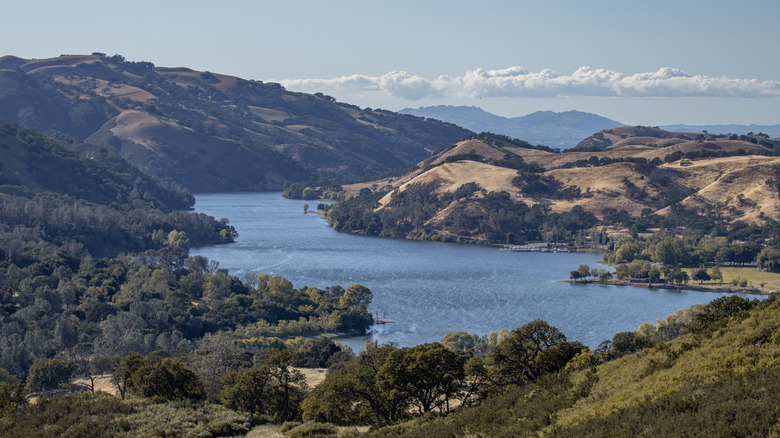A river flowing through the mountains with trees in Del Valle Regional Park, California