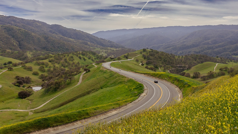 Wildflowers, rolling hills, and a winding road in Del Valle Regional Park, California