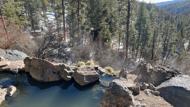 A steaming hot spring overlooking the forest in the Jemez National Recreation Area