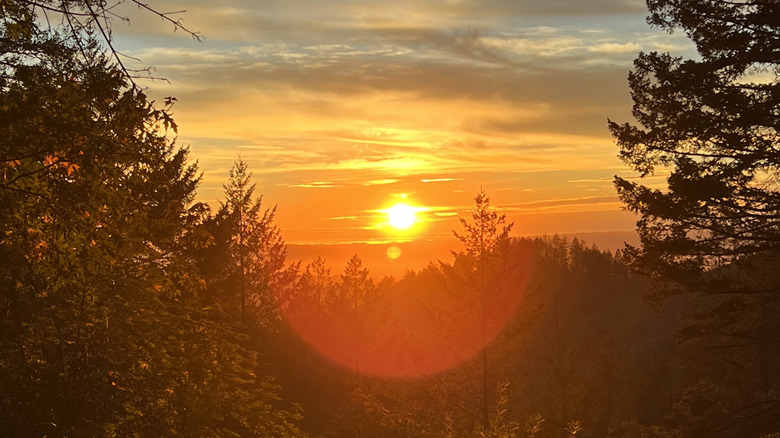 Fiery sunset changing the color of the mountainous forest landscape at Hood Mountain Regional Park, Sonoma County, California
