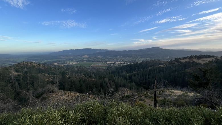 Mountainous scenery from the wilderness at Hood Mountain Regional Park, Sonoma County, California