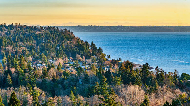 An aerial shot of Normandy Park's neighborhood and Puget Sound views in Washington