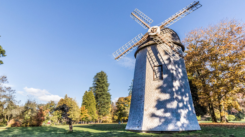 The windmill built by the Clise family at Marymoor Park in Redmond Washington