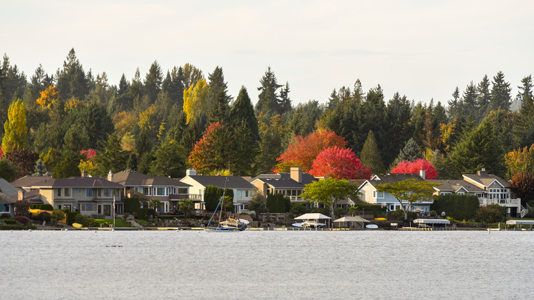 Tree-lined houses meet lake in peaceful Sammamish