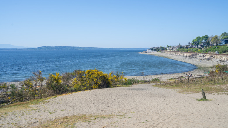 The sands of the Richmond Beach Saltwater Park stretch along the shores of the Puget Sound near Seattle