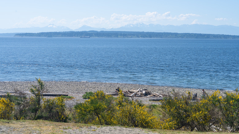 A view over the beach at the Richmond Beach Saltwater Park with the Olympic Mountains in the distance