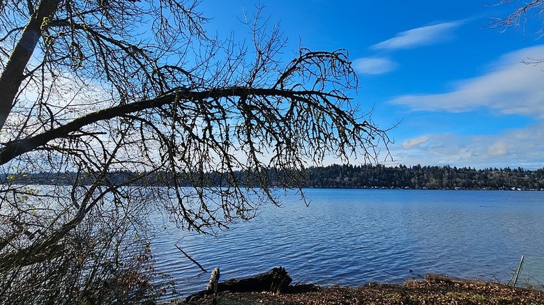 Peaceful view of Lake Washington in Saint Edward State Park in Kenmore