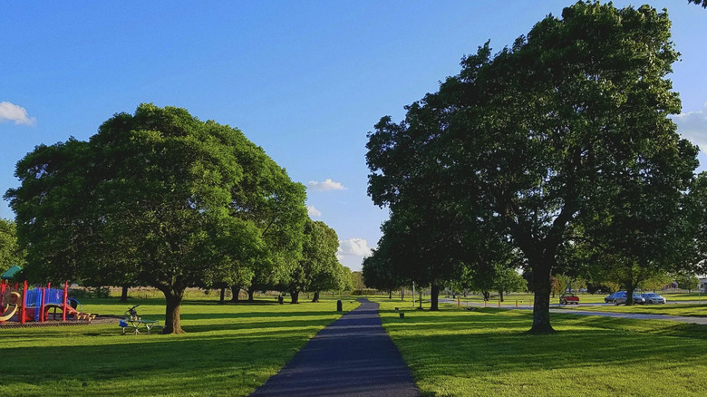 A pathway surrounded by trees and greenery in J.R. Martin Park, Republic, Missouri
