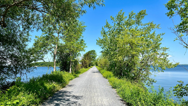 The Colchester Causeway Trail with views of Lake Champlain on a sunny day