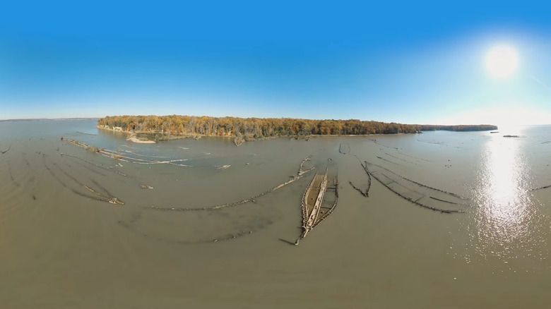 Shipwrecks in the shallow waters of Mallows Bay