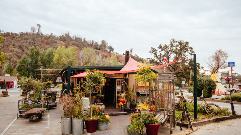 A market vendor in Coarsegold, California