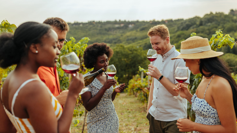 Group of people smelling wine in a vineyard
