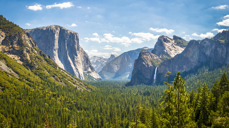 View of a wooded mountain landscape in Yosemite