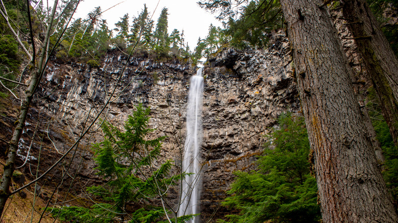 A view of Watson Falls in the Umpqua National Forest