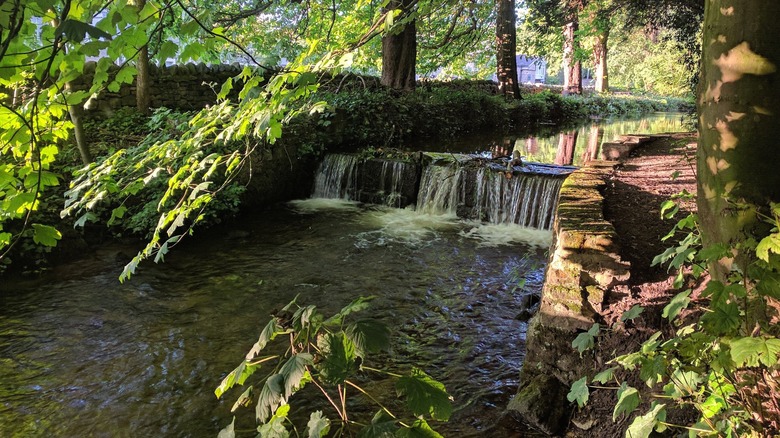 The Thonton Beck stream runs surrounded by plant life and stonework