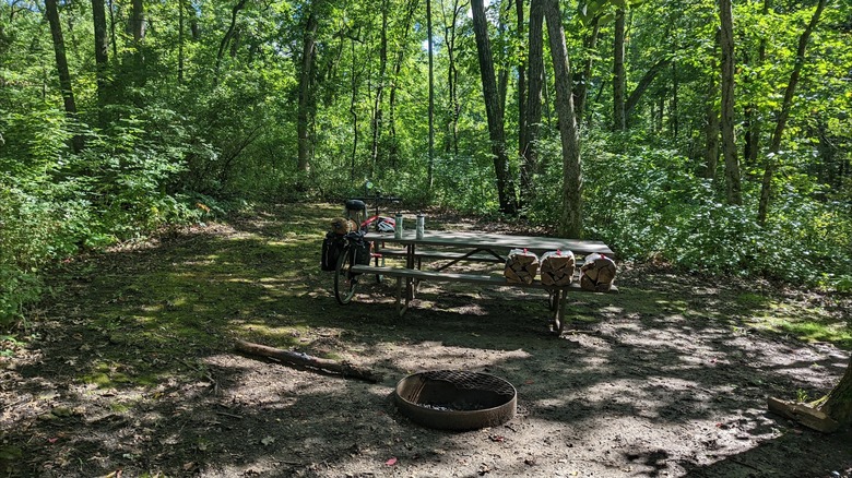Picnic table and a campfire ring at a wooded campsite at New Glarus Woods State Park, Wisconsin