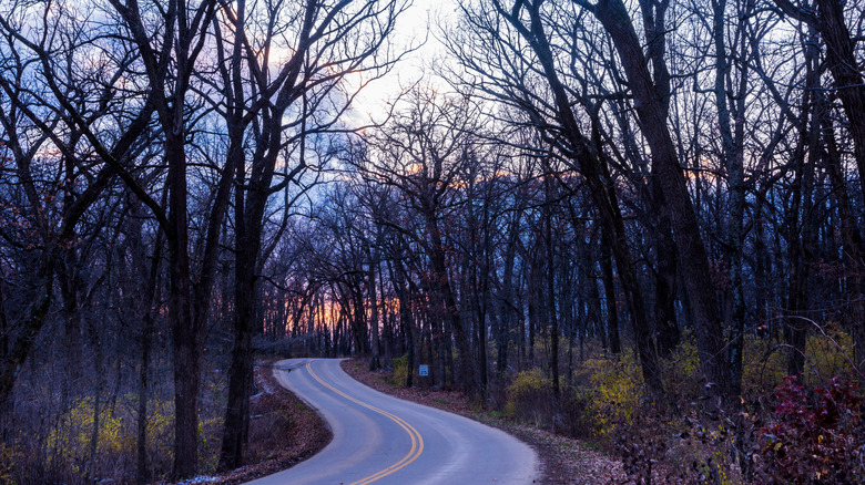 Red and purple sunset on the winding road through New Glarus Woods State Park in Wisconsin