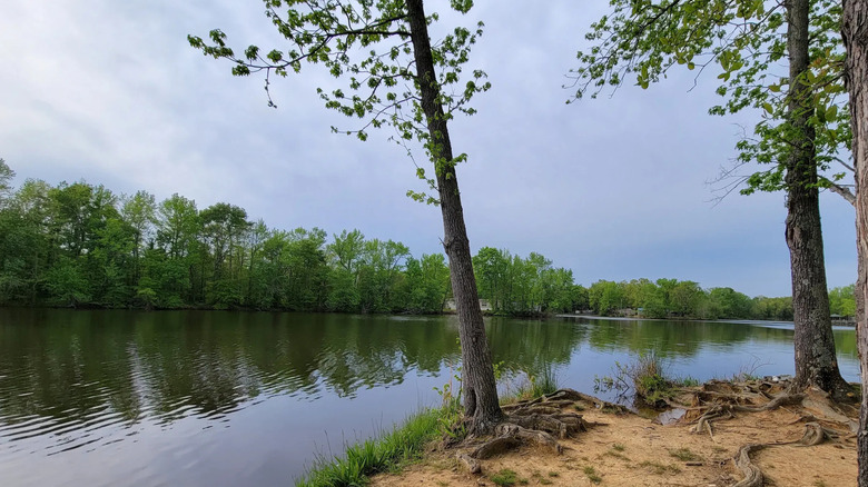 shoreline near water at Lake Cherrywood Park in Sherwood, Arkansas
