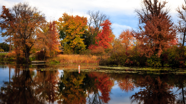 North Reservoir at Portage Lakes in the fall