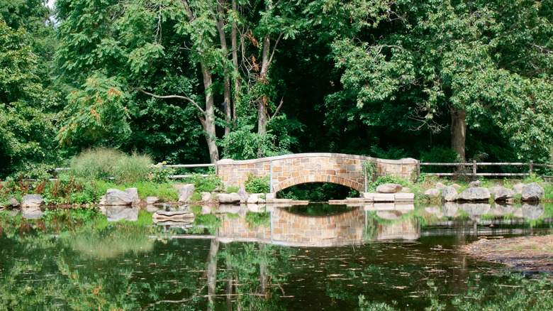 Stone bridge over pond surrounded by greenery in Francis William Bird Park
