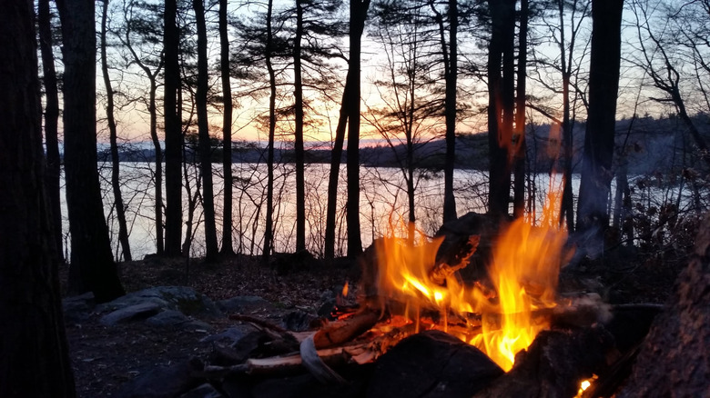 A campfire flickering at AMC Ponkapoag Camp, a campground along Ponkapoag Pond, in the Blue Hills Reservation in Massachusetts, pictured here in the evening light