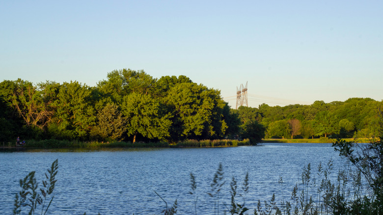 Silver Springs State Park in Yorkville, Illinois, on a sunny day